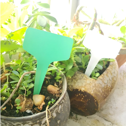 Set 100 Etiquetas PVC Tipo "T" para Plantas y Maceteros (10x6 cm)