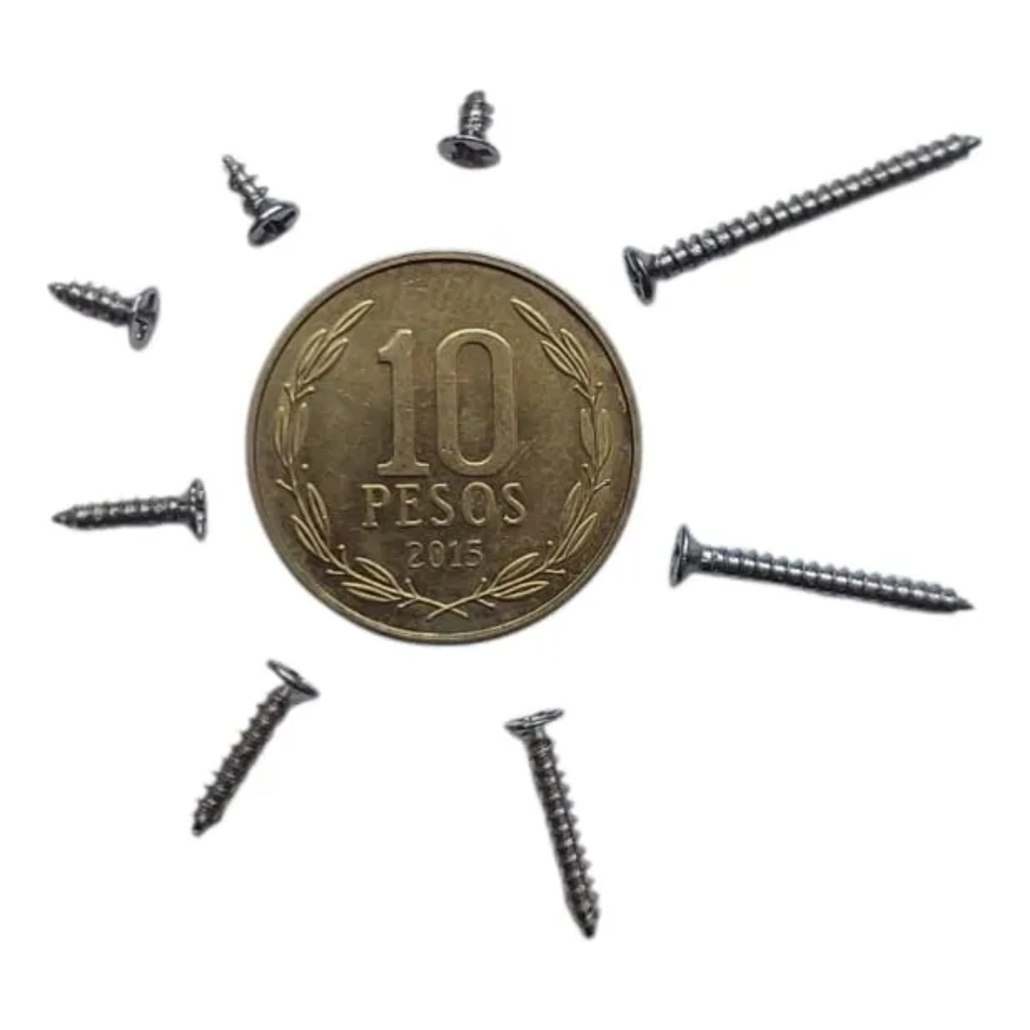 Caja Organizadora 800 Micro Tornillos M2 Surtidos (Acero Inoxidable)