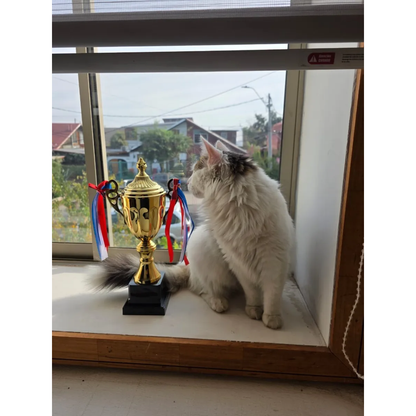 Trofeo Copa Deportiva de Metal Dorado con Cintas y Tapa Diferentes Medidas